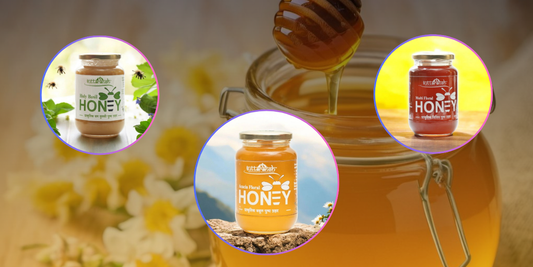 Discovering Uttarakhand’s Monofloral Honey Heritage, Beekeeping Traditions, and Honey Varieties