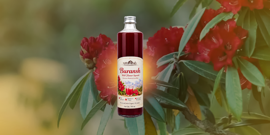 buransh squash