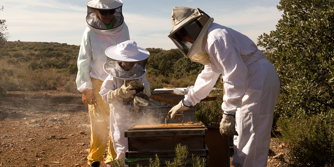 Beekeeping in Uttarakhand