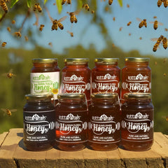 Naturally Made Comb Dipped Honey